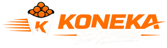 koneka.com.br